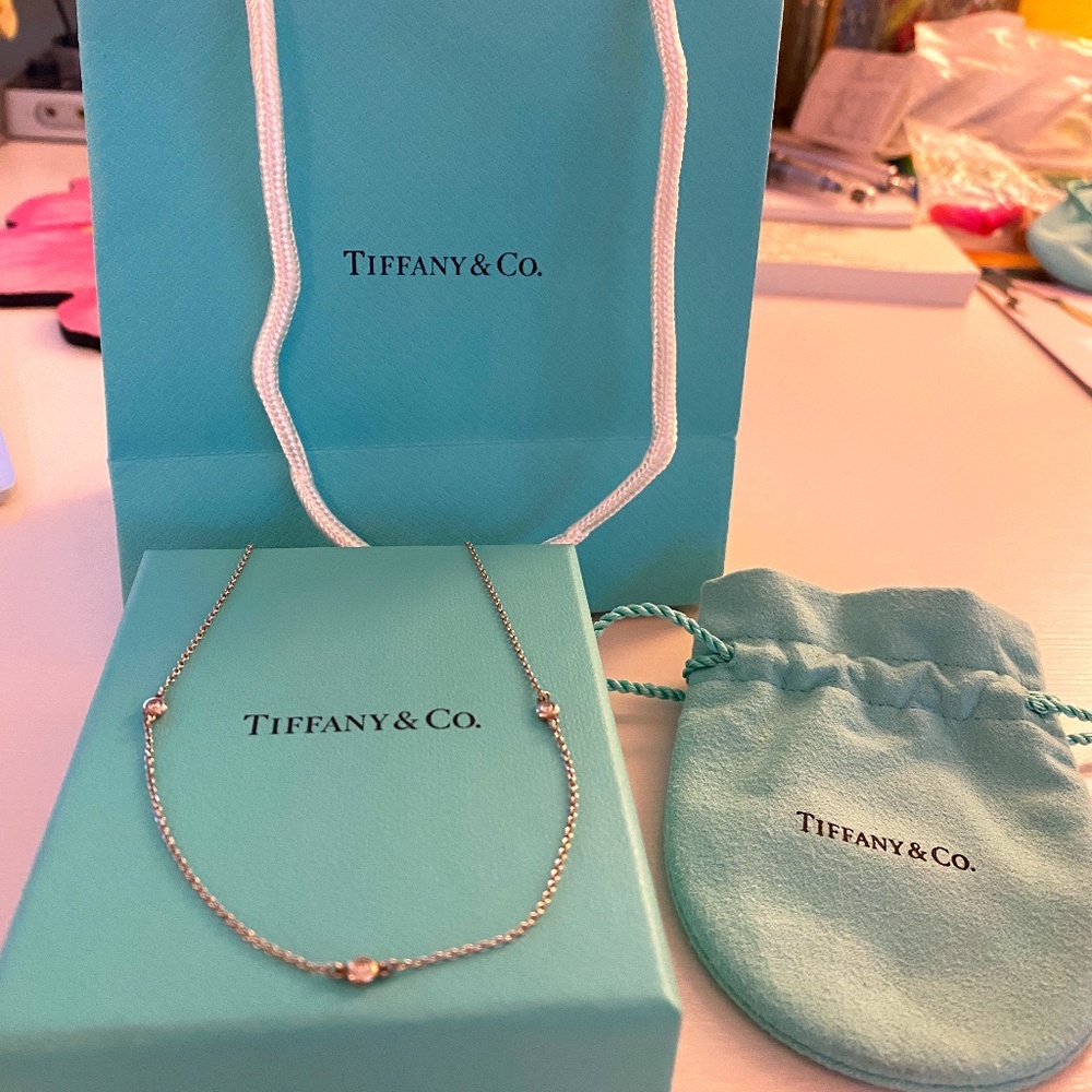 Tiffany&Co Diamonds by the Yard Necklace